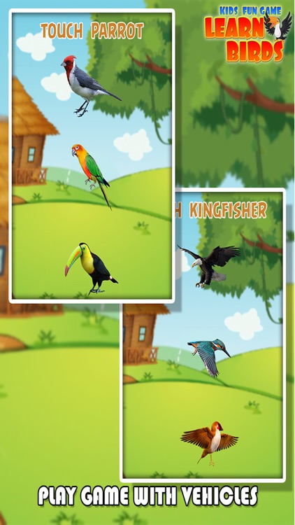 Pro Kids Fun Game Learn Birds screenshot-4