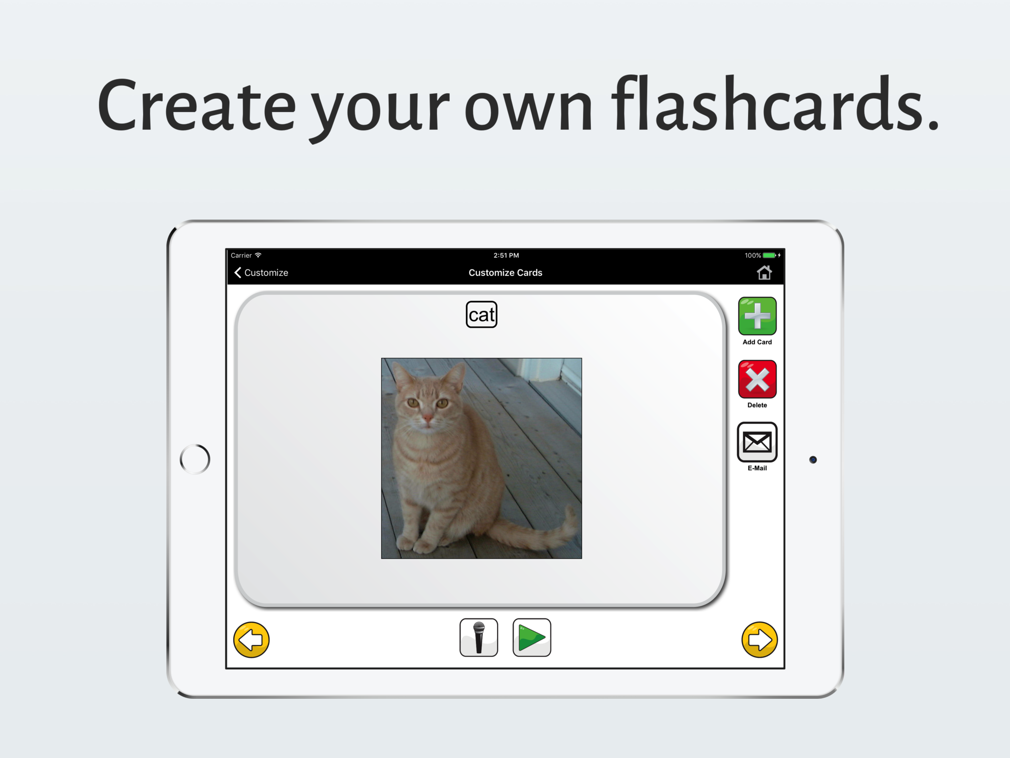 Speech Cards Lite