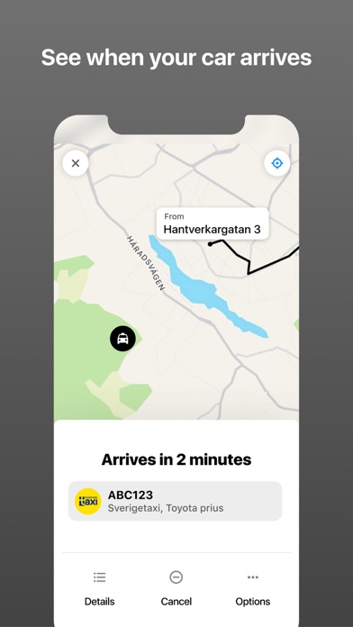 Taxi Cabonline Screenshot