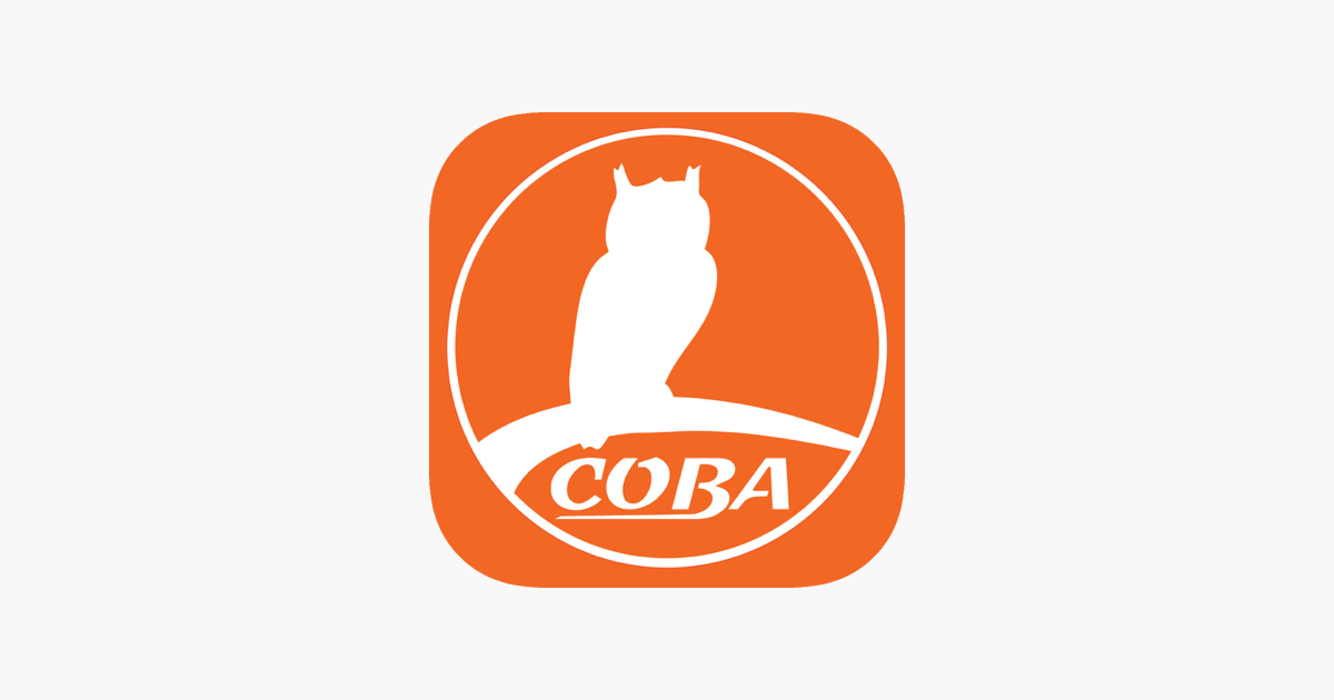 сова агентство недвижимости. сова тюмень недвижимость. агентство сова тюмень. ан сова логотип. сотрудники агентства недвижимости сова тюмень.