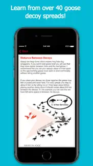 goose hunting diagrams - decoypro iphone screenshot 2