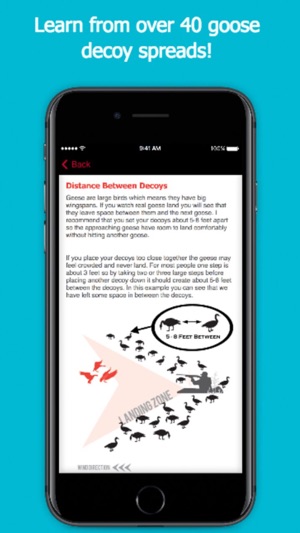 Goose Hunting Diagrams - DecoyPro(圖2)-速報App