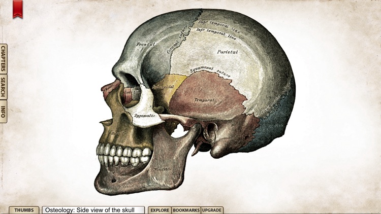 Gray's Anatomy Student Edition