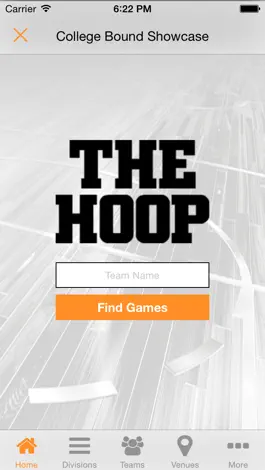 Game screenshot The Hoop hack