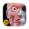 Anatomy 3D Atlas - Catfish Animation Studio