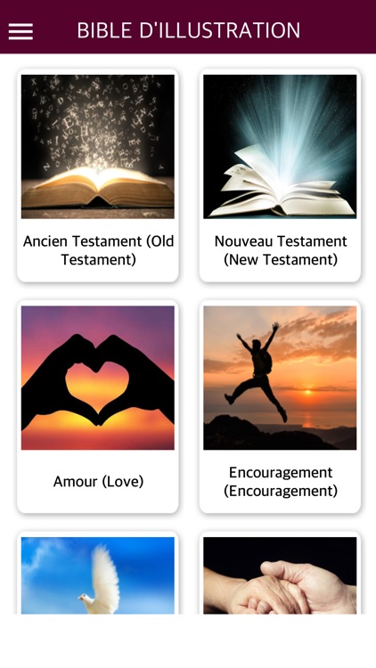 French Bible with Audio - La Sainte Bible audio screenshot-4