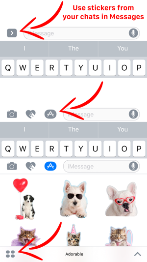 Adorable Animals!(圖3)-速報App