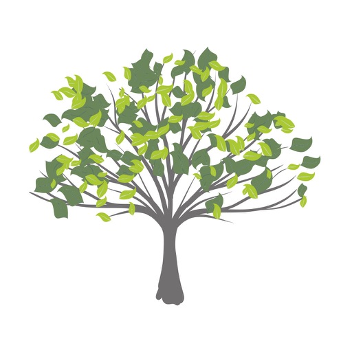 Holistic Healing Arts