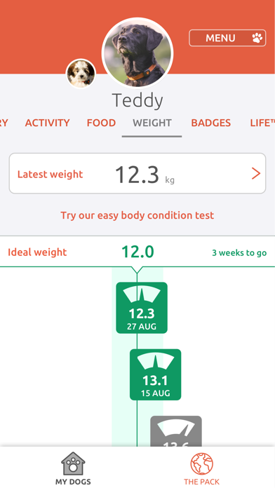 PitPat Screenshot