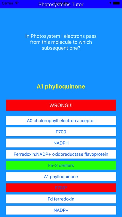 Photosystems Tutor