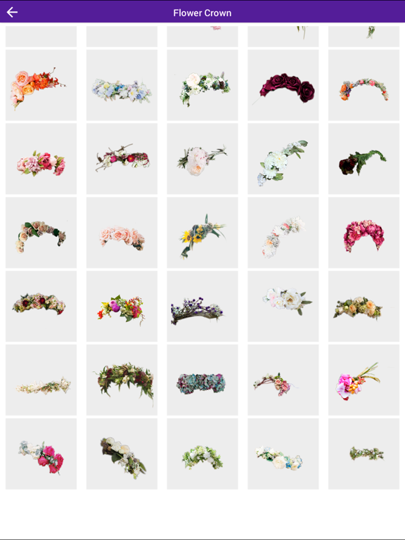Wedding Flower Crown Hairstyle Photo Editor iPad screenshot