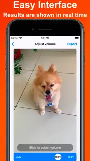 mute video - edit clip sound iphone screenshot 2