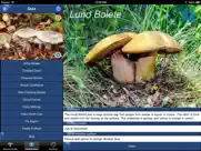 mushroom id guide - uk ipad capturas de pantalla 4