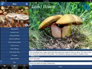 Mushroom Id Guide - UK ipad bilder 3