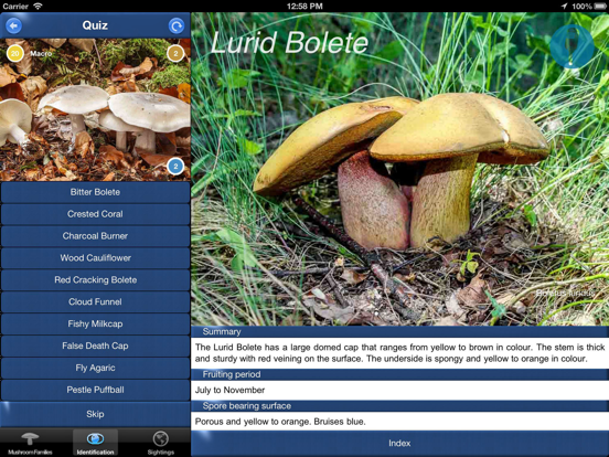 Mushroom Id Guide - UK iPad app afbeelding 4