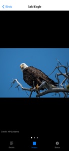 Yellowstone NP Field Guide screenshot #4 for iPhone