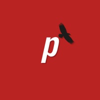 Powerbird Mobile Erfahrungen und Bewertung