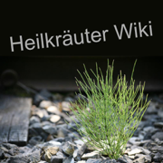 Heilkräuter Wiki