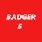 Take charge in managing your Wisconsin BADGER 5 combinations (5 numbers 1 thru 31)