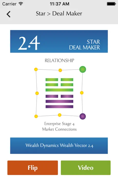 Wealth Dynamics