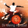MSV Handball