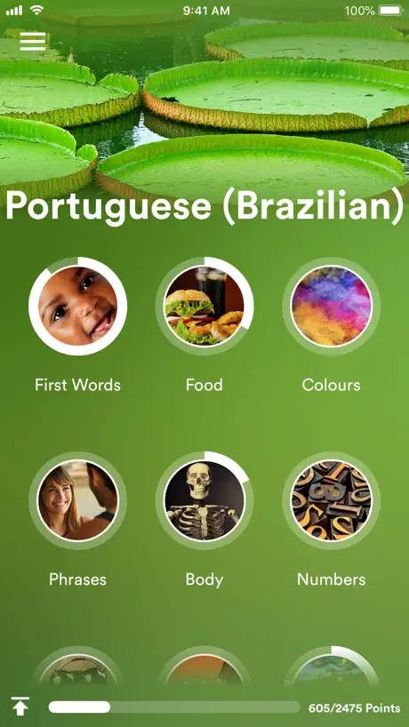 Learn Brazilian Portuguese