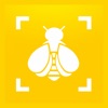 Bumble Bee Watch icon