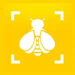 Bumble Bee Watch App Contact