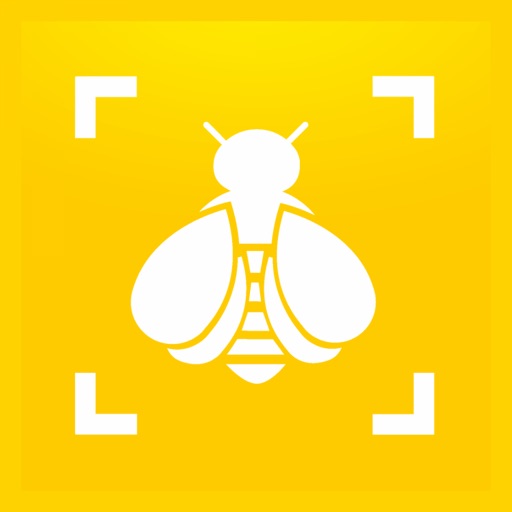Bumble Bee Watch icon