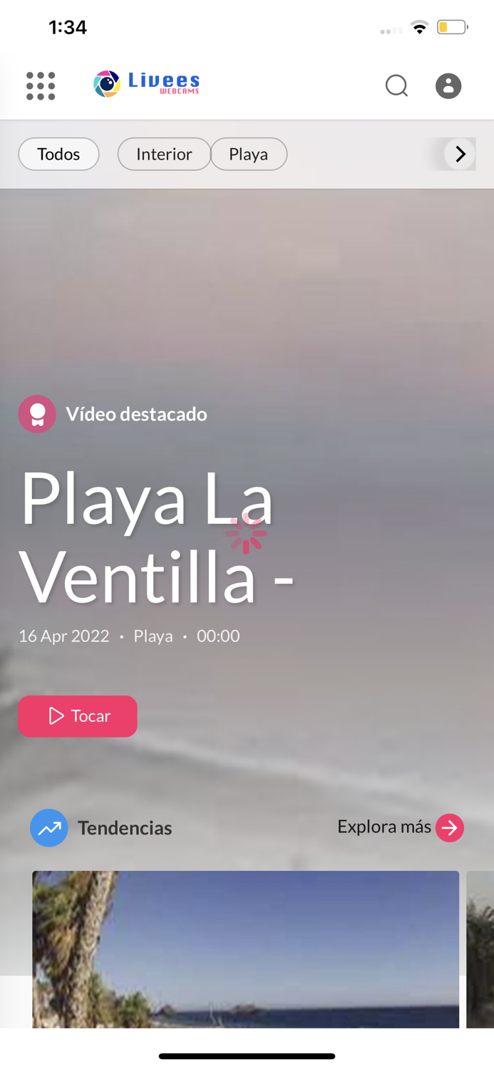 Livees Tv - Ott and Webcams