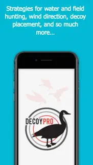 goose hunting diagrams - decoypro problems & solutions and troubleshooting guide - 4