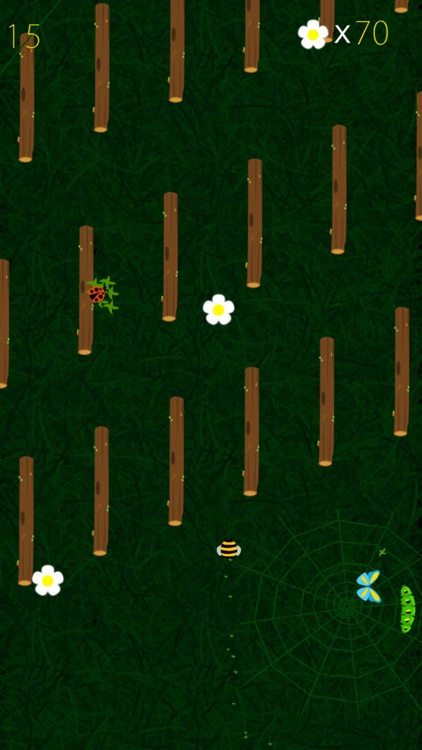 The Honey Bee Journey