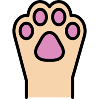 У меня лапки