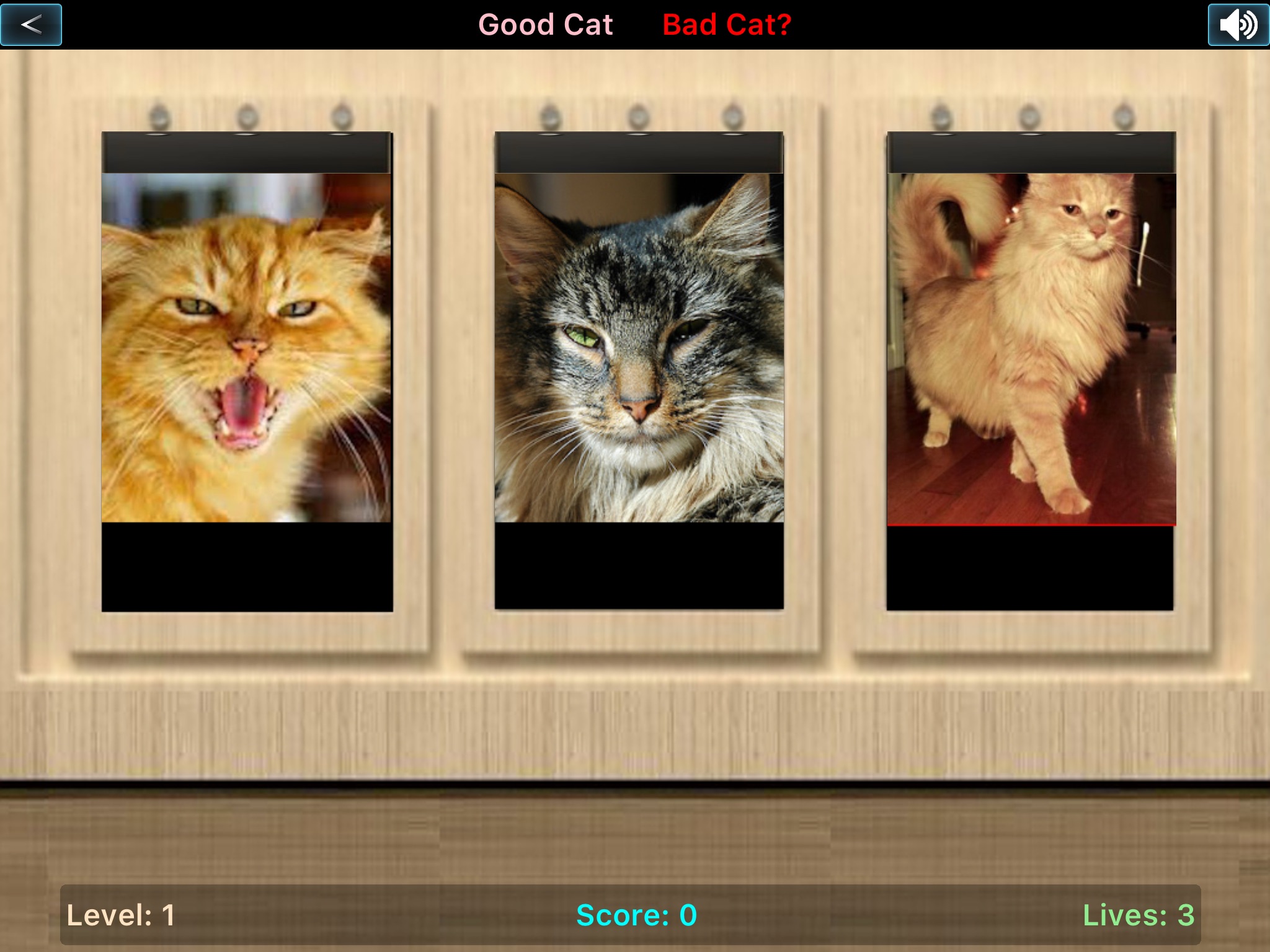 Good Cat Bad Cat screenshot 4