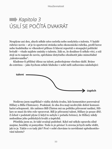 snímek obrazovky 2