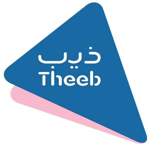 Theeb Inspection