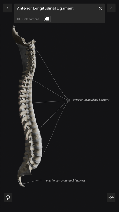 Biomechanics of the Spine Liteのおすすめ画像4