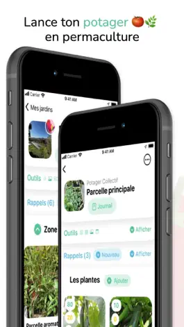 Game screenshot Tomate & Basilic mod apk