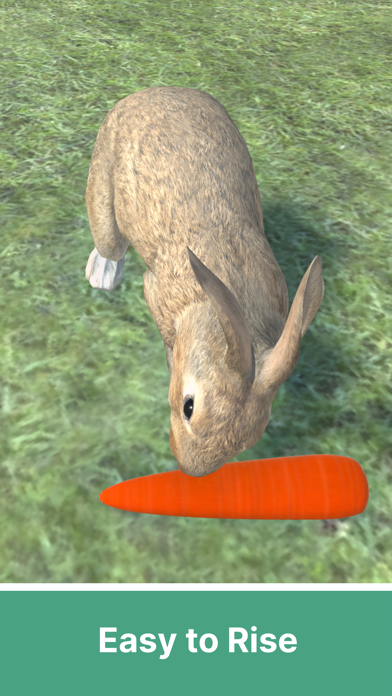Adopt A Rabbit : Virtual Pet Screenshot