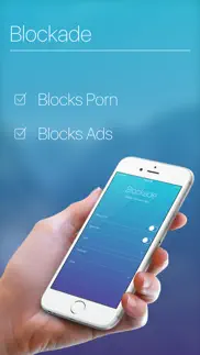 blockade - block porn, inappropriate content & ads problems & solutions and troubleshooting guide - 3
