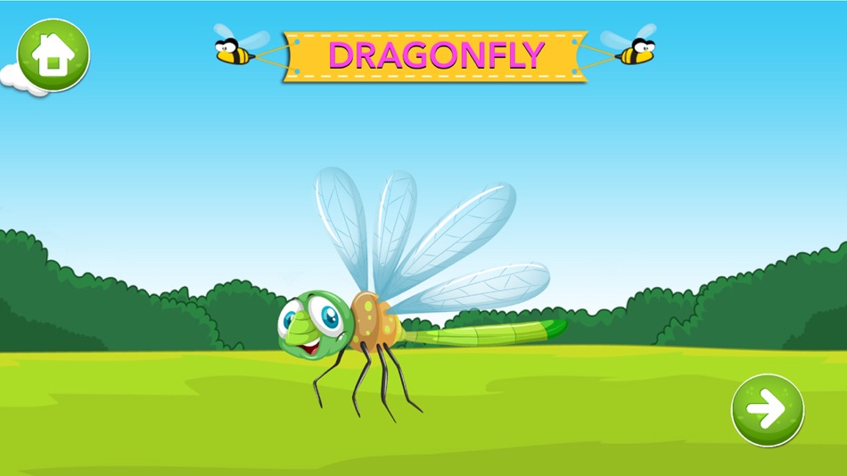 #5. Learn about Insects (iOS) 由: MBD Alchemie