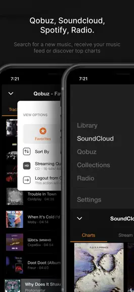 Game screenshot VOX – MP3 & FLAC Music Player hack