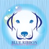 Blue Ribbon Boarding and Grooming