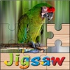 Animals Jigsaw Puzzles Free Games Kids Learning