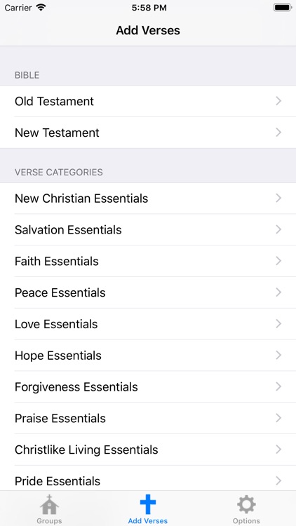 Well Versed Bible Memory