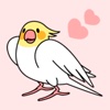 Bird Stickers : Funny