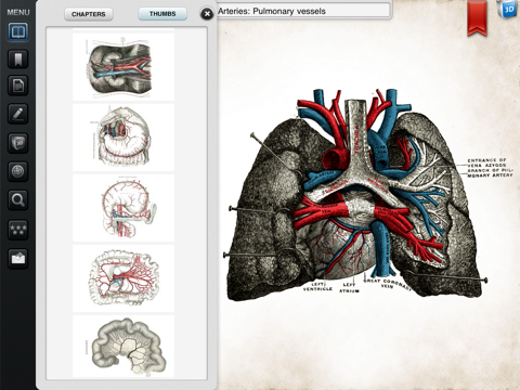 Grays Anatomy Premium for iPadのおすすめ画像2