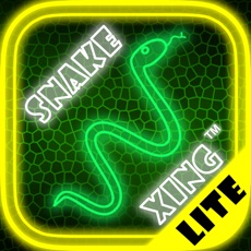 Activities of Snake Xing Lite for iPad