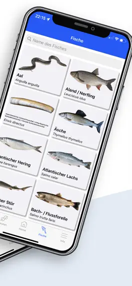 Game screenshot Fishing Plus - Die Angel App apk