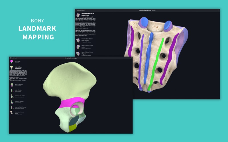 Complete Anatomy 24 screenshot1